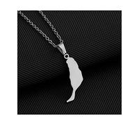 Schmuck Karte Halskette, Fuerteventura Glossy Map Styling Pendant Necklaces Women Girls Men Fashion Party Annivers Jewelry Geometric Pendant Couple Gifts,Silver Pendant,45Cm(17.7 Inches)
