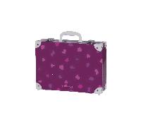 Schneiders - Schneiders Case Berry