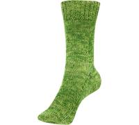 Schoeller FORTISSIMA 6-fach Marmor 243 oliv (8,63 € pro 100 g) Farbe:243 oliv