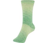 Schoeller FORTISSIMA Cotton Sockenwolle 4-fach Long Island 124 Greenport (8,95 € pro 100 g) Farbe:124 Greenport