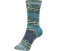 Schoeller FORTISSIMA Texas Sockenwolle 4-fach 609 Houston (6,95 € pro 100 g) Farben:609 Houston