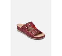 Scholl - Clogs & Pantoletten ABERDEEN - Bordeaux - Größe 41