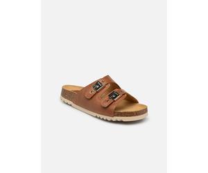 Scholl - Clogs & Pantoletten ALBA ICONIC - Braun - Größe 36