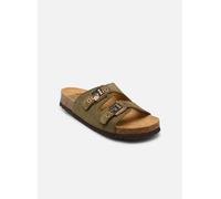 Scholl - Clogs & Pantoletten ALBA ICONIC - grün - Größe 36