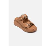 Scholl - Clogs & Pantoletten BALI BUCKLE COMFORT - braun - Größe 39