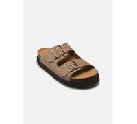 Scholl - Clogs & Pantoletten BEATRIZ COLLECTION - beige - Größe 35