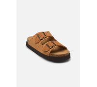 Scholl - Clogs & Pantoletten BEATRIZ COLLECTION - braun - Größe 37