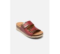 Scholl - Clogs & Pantoletten MONTEREY 2 STRAPS COMFORT - weinrot - Größe 37