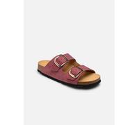 Scholl - Clogs & Pantoletten NOELLE COLLECTION - Bordeaux - Größe 37