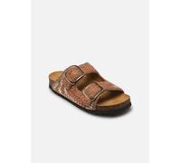 Scholl - Clogs & Pantoletten NOELLE COLLECTION - mehrfarbig - Größe 36