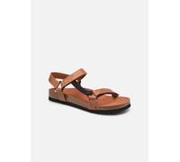 Scholl - Sandalen Heaven Ad Comfort M - Braun - Größe 43
