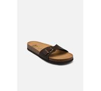 Simon Collection by Scholl 40