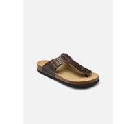 Scholl - Zehensandalen YVES COLLECTION - braun - Größe 41