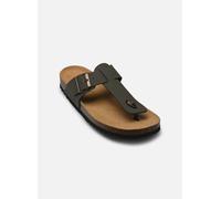 Scholl - Zehensandalen YVES COLLECTION - grün - Größe 45