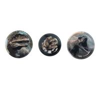 School Mood 3er Patchy-Set Daniel Dinosaurier