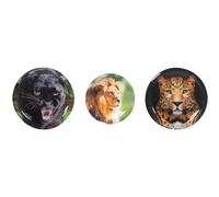 School-Mood Patchy-Set Finn – Raubkatzen – 3er