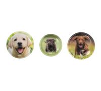 School-Mood 3er Patchy-Set Leni Hund