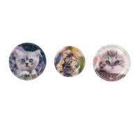 School-Mood Patchy-Set Kätzchen