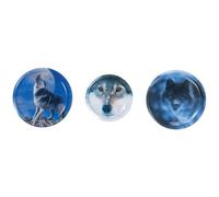 School Mood 3er Patchy-Set Felix Wolf