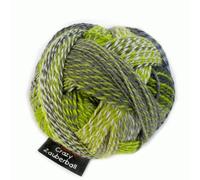 Schoppel-Wolle Wolle, Knäuel, „Crazy Zauberball Hourglass“ 2204 Green Week