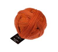 Schoppel Wolle Zauberball Alb Zauber Crazy, Sockenwolle, 100g