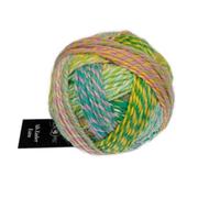 Schoppel Wolle Zauberball Alb Zauber Extra #2400, 50g
