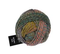 Schoppel Wolle Zauberball Alb Zauber Extra #2626, 50g