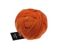 Schoppel Wolle Zauberball Alb Zauber Extra #2727, 50g