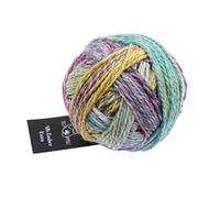 Schoppel Wolle Zauberball Alb Zauber Extra nachhaltige Wolle aus Schurwolle von der Schwäbischen Alb und abbaubarem Polyamid (2355 Gartenparty)