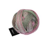 Schoppel Zauberball Edition 3, Reine Merinowolle Häkelwolle Strickgarn, 100% Wolle für Nadelstärke 3 bis 3,5 mm (2629 Aurora)