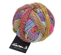 Schoppel Zauberball Edition 3, Reine Merinowolle Häkelwolle Strickgarn | 100% Wolle | Merino extrafine für Nadelstärke 3 bis 3,5 mm (2296 Englischer Garten)