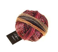 Schoppel Zauberball Edition 3, Reine Merinowolle Häkelwolle Strickgarn | 100% Wolle | Merino extrafine für Nadelstärke 3 bis 3,5 mm (2361 Tante Emma)