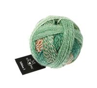 Schoppel Zauberball Edition 3 | Reine Merinowolle mit Farbverlauf grün braun zum Stricken und Häkeln | 100% Wolle | Merino extrafine für Nadelstärke 3 bis 3,5 mm (2595 Grünzeug)