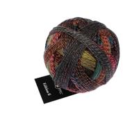 Schoppel Zauberball Edition 6 | 100% Wolle | Merinowolle fine für Nadelstärke 2 bis 3 mm | 50g Strickgarn zum Stricken oder Häkeln (2630 Regenbogenflecken)