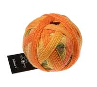 Schoppel Zauberball Edition 6 | 100% Wolle | Merinowolle fine für Nadelstärke 2 bis 3 mm | 50g Wollgarn zum Stricken oder Häkeln (2594 Katzengold)