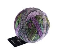 Schoppel Zauberball Edition 6 Farbe 2474 Nachbars Garten | 100% Wolle | Merinowolle fine für Nadelstärke 2-3 mm, 50g