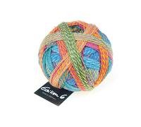 Schoppel Zauberball Edition 6, Häkelwolle Merinowolle, Farbverlaufswolle für Nadelstärke 2 bis 3 mm, 50g Strickgarn zum Stricken oder Häkeln (2296 Englischer Garten)