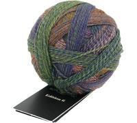 Schoppel Zauberball Edition 6, Häkelwolle Merinowolle, Farbverlaufswolle für Nadelstärke 2 bis 3 mm, 50g Strickgarn zum Stricken oder Häkeln (2328 Gartentage)