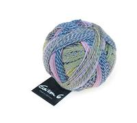 Schoppel Zauberball Edition 6, Häkelwolle Merinowolle, Farbverlaufswolle für Nadelstärke 2 bis 3 mm, 50g Strickgarn zum Stricken oder Häkeln (2301 Taupunkt)