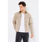 Schott - Bekleidung Blouson Col Chemise-CADAMSWASH - Beige - Größe L