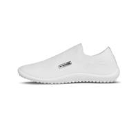 leguano scio white 40