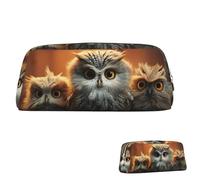 SDTYKHJ Federmäppchen mit niedlicher Eule, großes Federmäppchen, tragbar, Münztasche, ästhetische Kosmetiktasche, Leder, Make-up-Tasche, Gold, Einheitsgröße