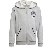 Seasonals Essentials Collegiate Typography Full-Zip Kinder Kapuzensweater, grau, Gr. 176