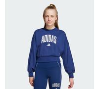 Adidas Seasonals Essentials Collegiate Typography Crewneck Sweatshirt 7-8 Jahre Dark Blue / White