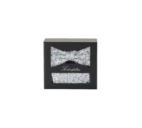 SEIDENFALTER Set Fliege und Stecktuch mint