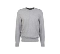 Strickpullover SEIDENSTICKER "Regular" Gr. XL, grau Herren Pullover Rundhalspullover Langarm Rundhals Uni (23597754-XL) grau