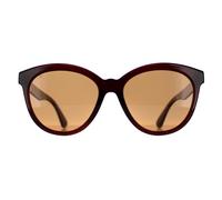 Serengeti Endee SS573002