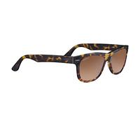 Serengeti FOYT XL Brille, Large Shiny Tort Havana, L Unisex Erwachsene, Large Shiny Tort Havana, L