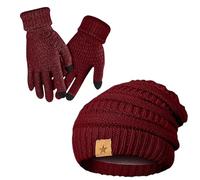 Set aus Mütze und Handschuhen für Damen - Set aus Strickhandschuhen, wasserdicht, winddicht, Strickmütze, weich und warm, mit Touchscreen-Handschuhen | für Mädchen, Spazierengehen, Hund