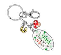 Die Geschenkewelt 46699 Schlüsselanhänger Glück, Glücksbringer Anhänger, Mehrfarbig, ca. 4,5 cm Länge und 3 cm Breite